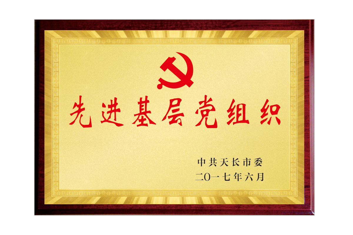 先 进下层党组织