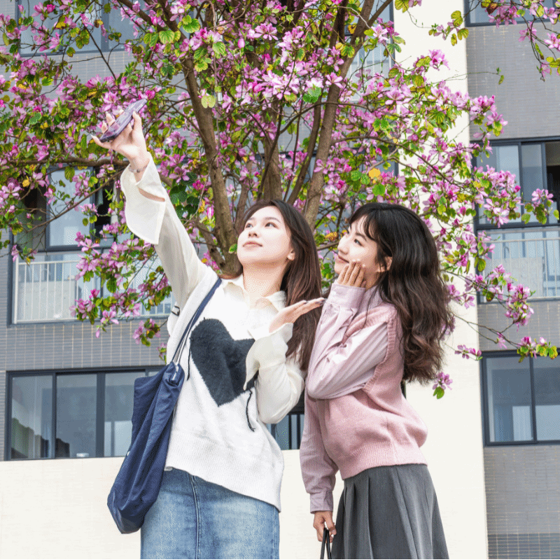 virtual_attach_file.vsb?afc=-nzUWZnzlaM8lDMH7V2MNr7ozLPMm7g4MRfko7LZnlCiU8C0gihFp2hmCIa0LYyPL1h2U1yPLm-ZM4U4Uz9aU4-8LRfRnRTVnl-8MRvbM4WFLRCYnRrfUmfFMlCZMzLJv2bjo4OeosTbqDXZ_ShXptQ0g47aMz-0LzN8MzUJqdLnx&oid=2132157943&tid=1052&nid=19454&e= btiÌåÓý¡¤(Öйú)¹Ù·½ÍøÕ¾ - APPÏÂÔØ