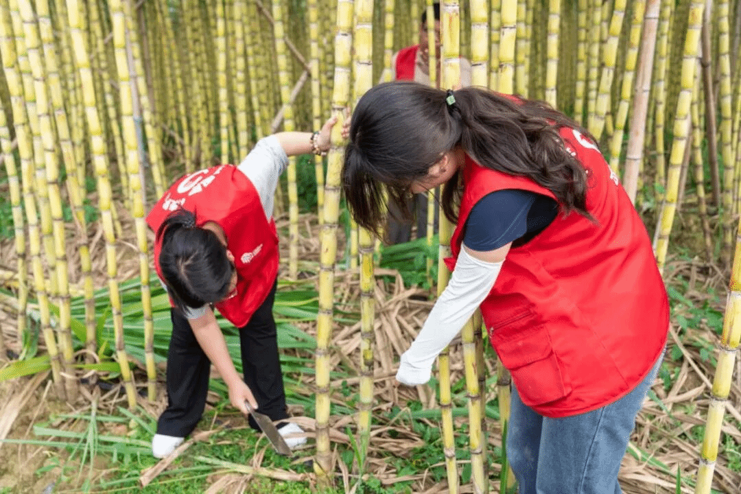 virtual_attach_file.vsb?afc=7L4AVVMRCZMNLPo2RGYozW2UlUbMzNdYn7MRLNlZM4MfL490gihFp2hmCIa0UYysLkyDnShfMm-ZLNQVMznRM8VRnmCDMmTVMNMRMR9bozfFM7r7Lzv8LRVFM46fo7-Jv2bjo4OeosTbqDXZ_ShXptQ0g47aMz-0LzNZL4UJqd-nx&oid=2132157943&tid=1052&nid=19834&e= btiÌåÓý¡¤(Öйú)¹Ù·½ÍøÕ¾ - APPÏÂÔØ