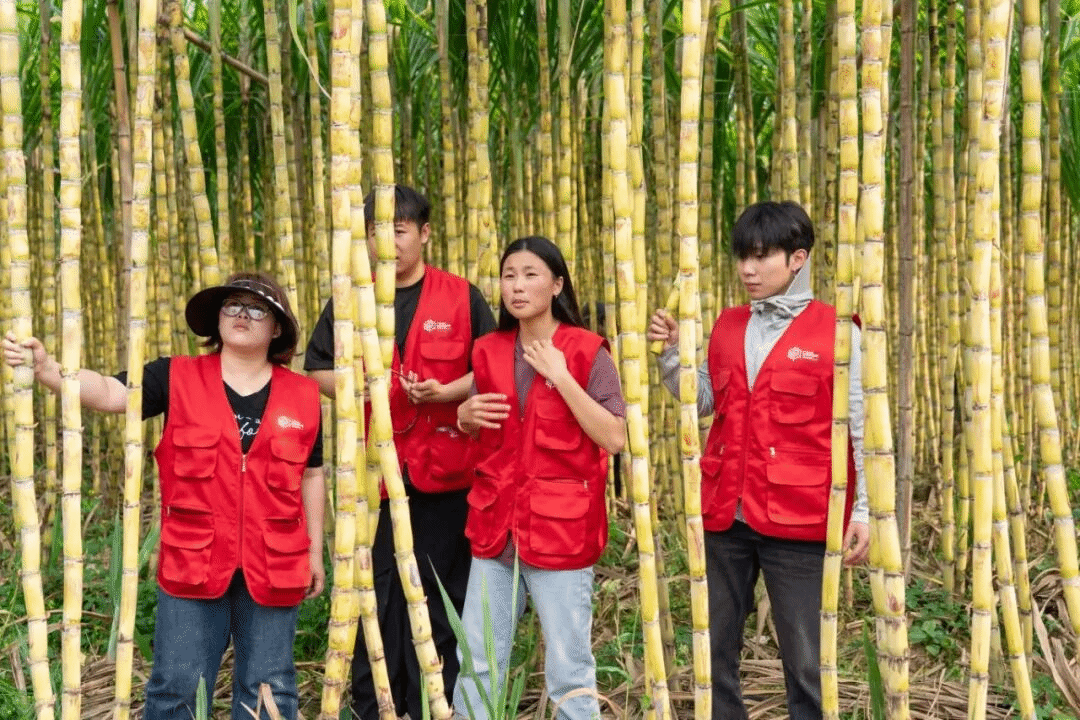 virtual_attach_file.vsb?afc=7n7lVsUmvsLR6VL2N-bn7QVU8L4olldaoz98LmAVLzUPnNC0gihFp2hmCIa0M1yDLkhRUYh2MRQknl-inNC4nmQ7L8LsLzNaMzGPMmLaoRrFL7lYn7-aMz6FoRUDMNlJv2bjo4OeosTbqDXZ_ShXptQ0g47aMz-0LzNZL4UJqd-nx&oid=2132157943&tid=1052&nid=19834&e= btiÌåÓý¡¤(Öйú)¹Ù·½ÍøÕ¾ - APPÏÂÔØ