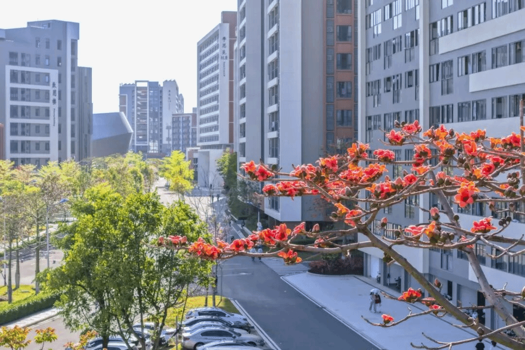 virtual_attach_file.vsb?afc=RL4G7YnRnRU8Q7nVR-Po7QkU4CZLm72ZM4-ZLRC4n77Pnz-0gihFp2hmCIa0okhRLSh7LYhRL4VfU4LanRnknzNiM8MVolMfMNMVLzVVoRrFnRlZnRAfU8WFMNWfMzCJv2bjo4OeosTbqDXZ_ShXptQ0g47aMz-0LzNiL4UJqddnx&oid=2132157943&tid=1052&nid=19534&e= btiÌåÓý¡¤(Öйú)¹Ù·½ÍøÕ¾ - APPÏÂÔØ