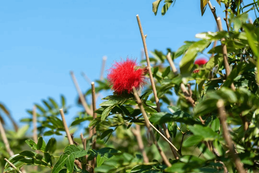 virtual_attach_file.vsb?afc=RL8L7DMlrRnlM7LV7M2nmTRUz74L8V2RLz62nR62U8WRnl70gihFp2hmCIa0MYyaoSy4n1h7M8W2Lm9ZLN7PUNUYU4v4Ll74olVVLzlbM4MFLRVVLRlaL7nFMzCiLlCJv2bjo4OeosTbqDXZ_ShXptQ0g47aMz-0LzNiL4UJqddnx&oid=2132157943&tid=1052&nid=19534&e= btiÌåÓý¡¤(Öйú)¹Ù·½ÍøÕ¾ - APPÏÂÔØ