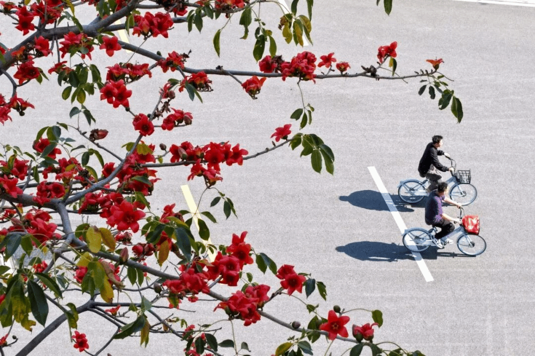 virtual_attach_file.vsb?afc=RM8Q7fMNLDUl7YMVm-DMzr2nRLDL4l2YMlUsoRv8LmQ7nN70gihFp2hmCIa0MYyDM1hkLYyso77iMNL4MzLPLNUsoznVL7UiMmAfnz98MzAFMmGiolCinzQFoRCPU8CJv2bjo4OeosTbqDXZ_ShXptQ0g47aMz-0LzNiL4UJqddnx&oid=2132157943&tid=1052&nid=19534&e= btiÌåÓý¡¤(Öйú)¹Ù·½ÍøÕ¾ - APPÏÂÔØ