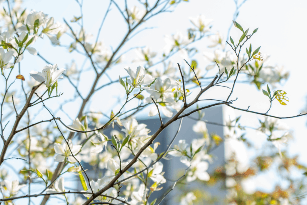 virtual_attach_file.vsb?afc=RMR672UNMfUzTfnVRGZMmNaM7UbozM22MmN4oRWRU4L8MN-0gihFp2hmCIa0LYhfokhkU1ybL8-DUz98MNVkLzvsM8VVnRU8nRvboRrkozTFUmG4L4TRUmQFMlUbMmvJv2bjo4OeosTbqDXZ_ShXptQ0g47aMz-0LzNiL4UJqddnx&oid=2132157943&tid=1052&nid=19534&e= btiÌåÓý¡¤(Öйú)¹Ù·½ÍøÕ¾ - APPÏÂÔØ