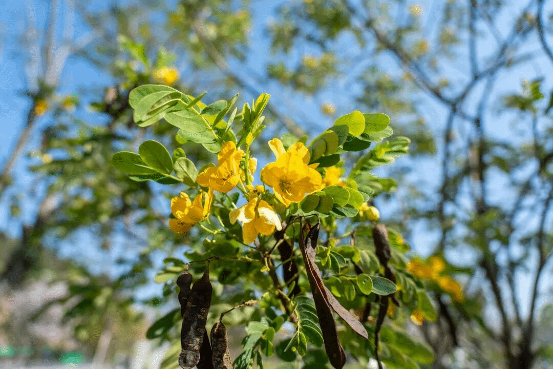 virtual_attach_file.vsb?afc=RU4Q7kUzrfMmrVUVzWRnlC8nz-inlQ2fn7QfozARnRA2M7L0gihFp2hmCIa0okh2nkhfMYh7M8rfnm7YUllbLmN4LlrfM8rfUmLDLRl4MRTFLNLiM7WRozWFMN-PLmUJv2bjo4OeosTbqDXZ_ShXptQ0g47aMz-0LzNiL4UJqddnx&oid=2132157943&tid=1052&nid=19534&e= btiÌåÓý¡¤(Öйú)¹Ù·½ÍøÕ¾ - APPÏÂÔØ