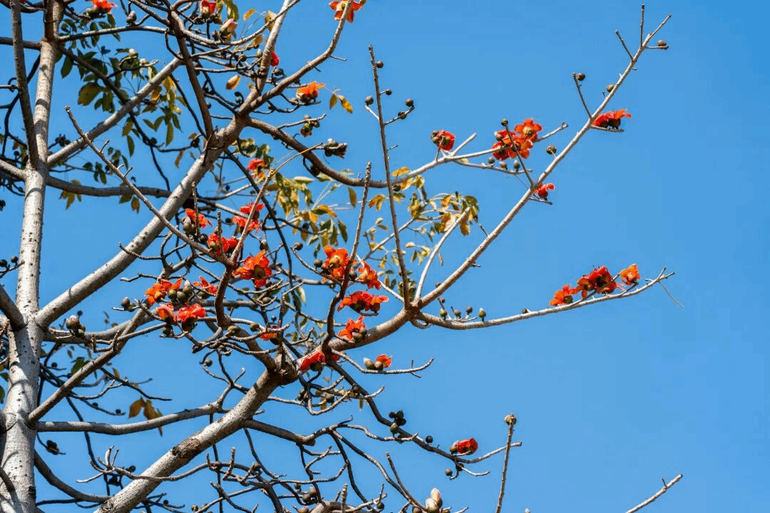 virtual_attach_file.vsb?afc=RUNn7VMzCinmGZLVRA2LzvZU4rVnzU28nm-bMln7M4CYo7L0gihFp2hmCIa0oShkn1hRU1y4nlUPnR7sM4U8oz7iL7U4oRQRMR9aLRr7UlQFMRv8LNrRL7rFMmG8ozUJv2bjo4OeosTbqDXZ_ShXptQ0g47aMz-0LzNiL4UJqddnx&oid=2132157943&tid=1052&nid=19534&e= btiÌåÓý¡¤(Öйú)¹Ù·½ÍøÕ¾ - APPÏÂÔØ