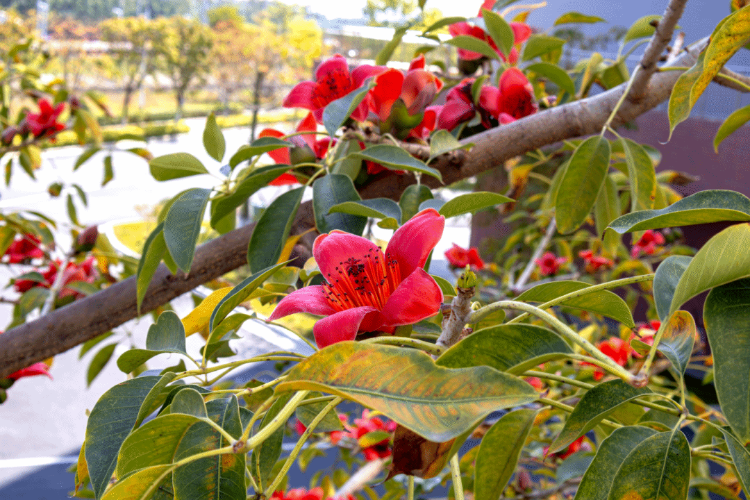 virtual_attach_file.vsb?afc=RUz-7aUlCbLz9ZMVmV2LR98nzlPL4W22Ml7PL4nVMzM7U8U0gihFp2hmCIa0U1y8MSh7L1y4UNMknzWknmQVMNLDnRlZM4f7U4lZL7LbU4AFM4rRU46fLNWFMN74Ll7Jv2bjo4OeosTbqDXZ_ShXptQ0g47aMz-0LzNiL4UJqddnx&oid=2132157943&tid=1052&nid=19534&e= btiÌåÓý¡¤(Öйú)¹Ù·½ÍøÕ¾ - APPÏÂÔØ