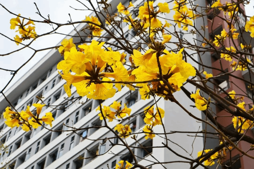 virtual_attach_file.vsb?afc=RUzC78MRG8n77aLVmf2U4Uaol7aMmW2kUzV2L4CPUz94nzv0gihFp2hmCIa0LYybL1yDLYyiM8lsnRrVnRGDLR6folU4L4A7LNCanzl8nmrFM4G8Uz7aLNVFM4QRUzlJv2bjo4OeosTbqDXZ_ShXptQ0g47aMz-0LzNiL4UJqddnx&oid=2132157943&tid=1052&nid=19534&e= btiÌåÓý¡¤(Öйú)¹Ù·½ÍøÕ¾ - APPÏÂÔØ