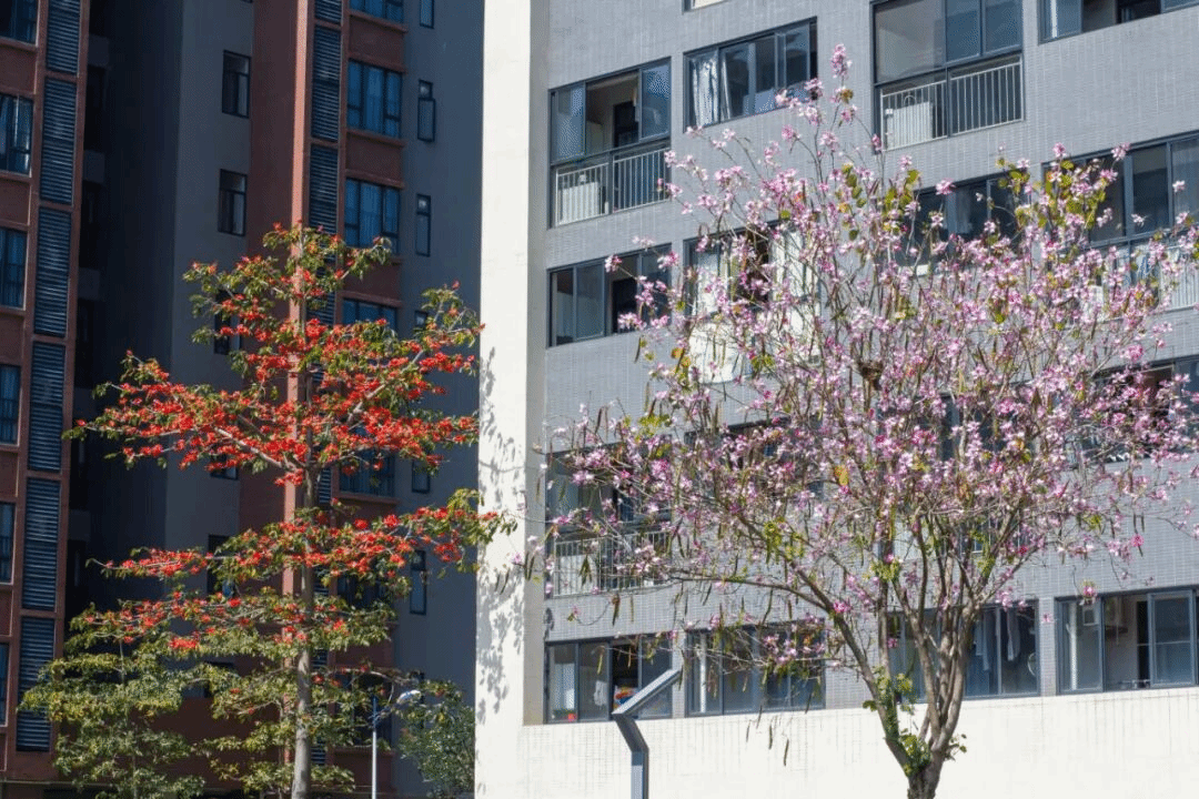 virtual_attach_file.vsb?afc=Rn7W77Uz7iolnVnVNU8M47io7UsLmQ22Mz-ioRNPU49anNU0gihFp2hmCIa0LkyDM1ybokhVolU8L4GYnmGPL8LPnzWfMmr2L7-PMzTVMzfFolQkM8VVnzWFM8r7M7lJv2bjo4OeosTbqDXZ_ShXptQ0g47aMz-0LzNiL4UJqddnx&oid=2132157943&tid=1052&nid=19534&e= btiÌåÓý¡¤(Öйú)¹Ù·½ÍøÕ¾ - APPÏÂÔØ