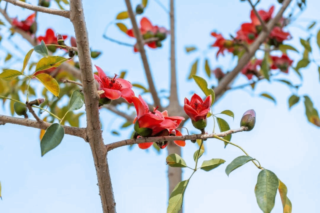 virtual_attach_file.vsb?afc=RnmQ7fUNUZoR9ZoVz74nmTknmLDM4A27MRMVMRL4L7UYM8l0gihFp2hmCIa0LkyiMky8LYh2L4NbUzGPUl-snRN8LmGioRW2Ull8LmNYoznFU4W2nzA7LzrFMRNDM4-Jv2bjo4OeosTbqDXZ_ShXptQ0g47aMz-0LzNiL4UJqddnx&oid=2132157943&tid=1052&nid=19534&e= btiÌåÓý¡¤(Öйú)¹Ù·½ÍøÕ¾ - APPÏÂÔØ