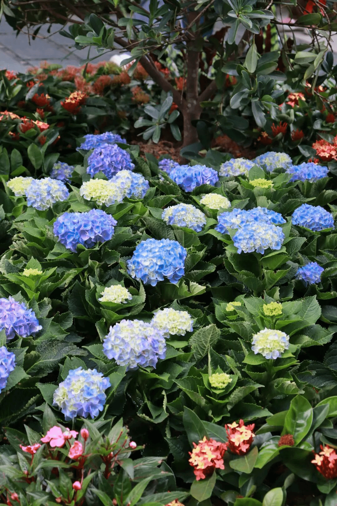 virtual_attach_file.vsb?afc=dLz9-YU4T7M4TfLWm7aM7QRnllZLNLHPo7lPM4nRL4lPM770gihFp2hmCIa0LYhfMkyPnSyDLm62Lz7soR-sMmNsnRvPUmffUzvbLzWkozfFnmLPoRn2LlVFnNn2M8-Jv2bjo4OeosTbqDXZ_ShXptQ0g47aMz-0LzNaoRUJqdgnx&oid=2132157943&tid=1052&nid=19084&e= btiÌåÓý¡¤(Öйú)¹Ù·½ÍøÕ¾ - APPÏÂÔØ