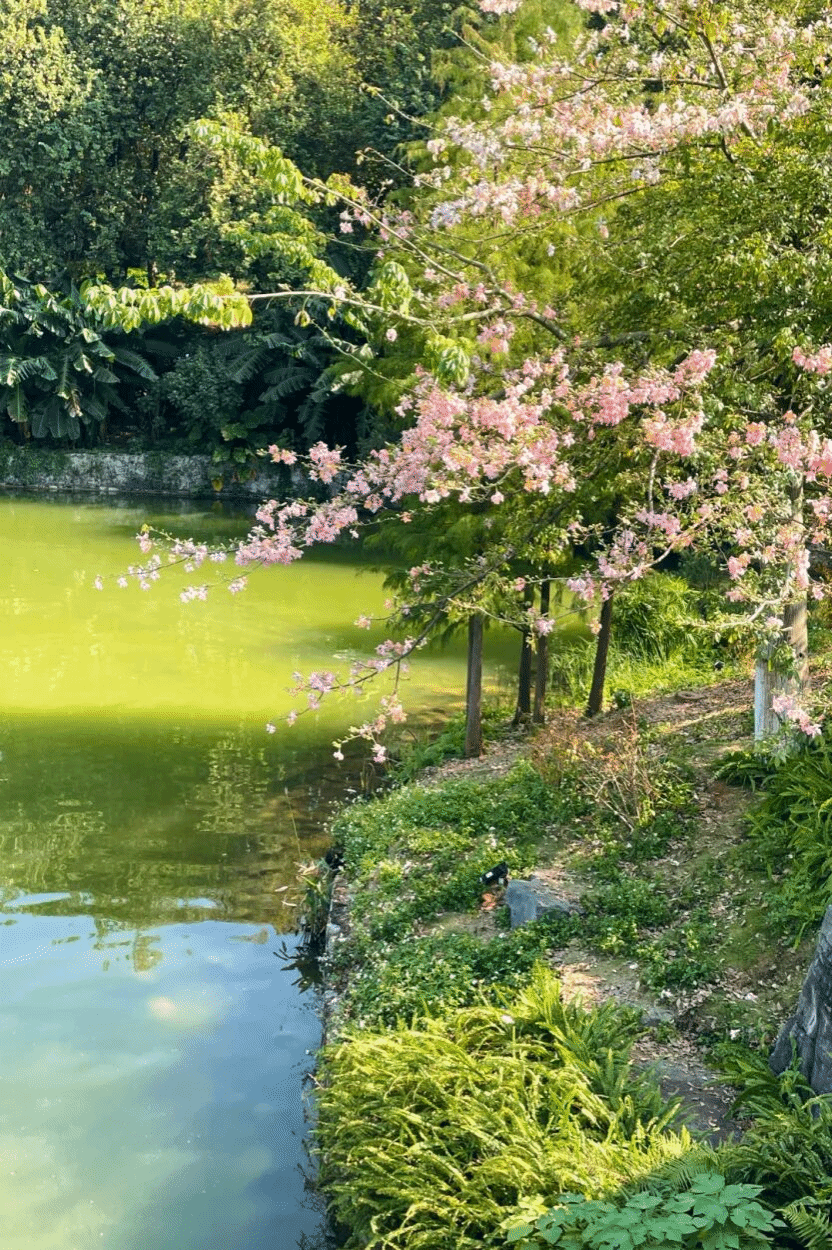 virtual_attach_file.vsb?afc=dMRn-fozn7o7U4UW8-DMNn7Uzf7M4nHVMm-iLlUDUz-aL490gihFp2hmCIa0USysoSy8nkyDL8MRLmrfnRMfMm6foRV7U8UDM49iMlUPnNrFnR6RUNW7nNQFUml8MzlJv2bjo4OeosTbqDXZ_ShXptQ0g47aMz-0LzNaoRUJqdgnx&oid=2132157943&tid=1052&nid=19084&e= btiÌåÓý¡¤(Öйú)¹Ù·½ÍøÕ¾ - APPÏÂÔØ