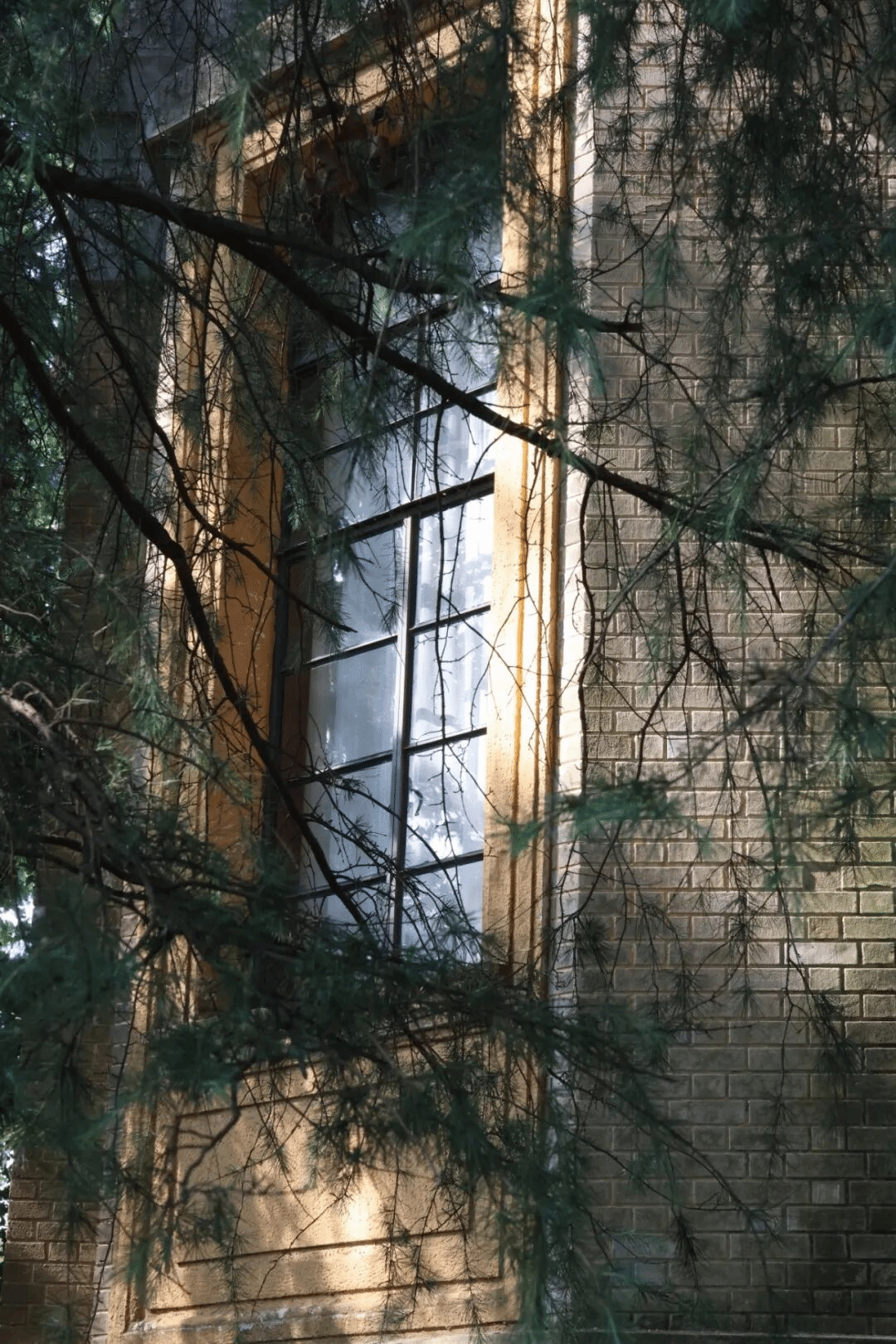 _dN0qIbtpYyPLRlYg47bLzL8gtA8pUgcc&oid=2132157943&tid=1052&nid=19134&e= bti体育·(中国)官方网站 - APP下载