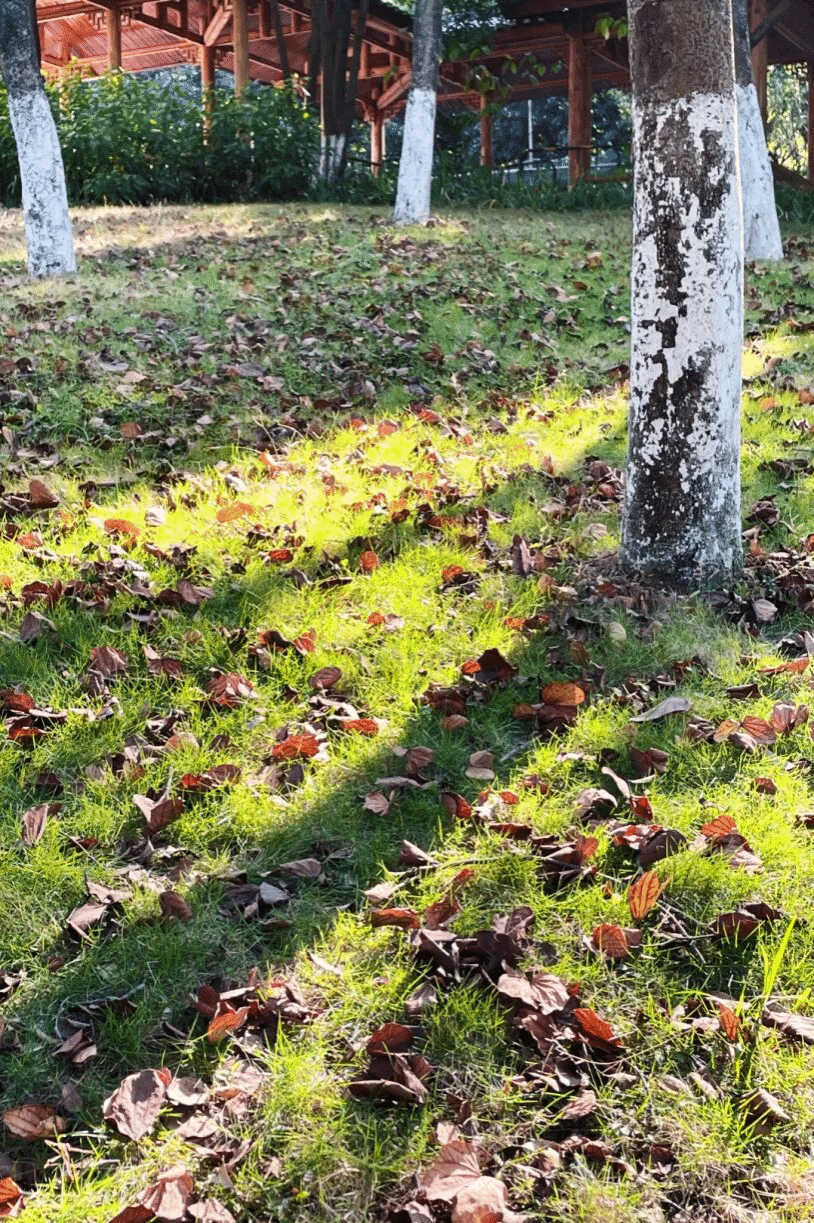 virtual_attach_file.vsb?afc=dnNV-fn7lPLN-aUWlCaMzTRn7M7MlnH2nNLanRCiMlUDL8C0gihFp2hmCIa0L1h2U1ysMkh7L4ffL77bU8laLlrVn7Q2Uz7DU8WVnNCZnzVFMm98L8-iMmfFUNUbLlCJv2bjo4OeosTbqDXZ_ShXptQ0g47aMz-0LzNaoRUJqdgnx&oid=2132157943&tid=1052&nid=19084&e= btiÌåÓý¡¤(Öйú)¹Ù·½ÍøÕ¾ - APPÏÂÔØ