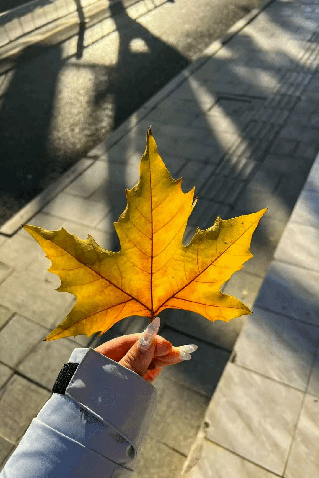 virtual_attach_file.vsb?afc=dnz9-sozARnzTVLW8LbLmT2U8r2L4QH2Lm-iLlQ7M7C8Mz-0gihFp2hmCIa0nSyPLYybMYyZMRfkUNV7UzN4MNL8Ll7sLzLPL7UaMznVozfFLN-4LN7ZMlnFUzQRMNUJv2bjo4OeosTbqDXZ_ShXptQ0g47aMz-0LzNaoRUJqdgnx&oid=2132157943&tid=1052&nid=19084&e= btiÌåÓý¡¤(Öйú)¹Ù·½ÍøÕ¾ - APPÏÂÔØ