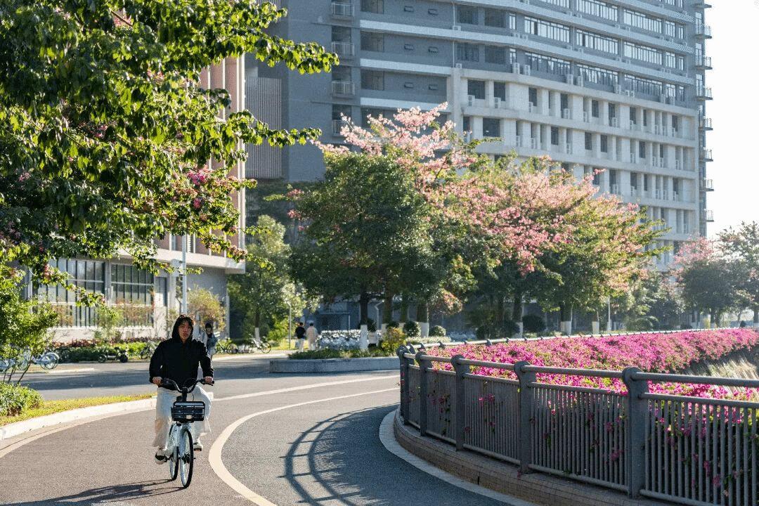 btiÌåÓý¡¤(Öйú)¹Ù·½ÍøÕ¾ - APPÏÂÔØ