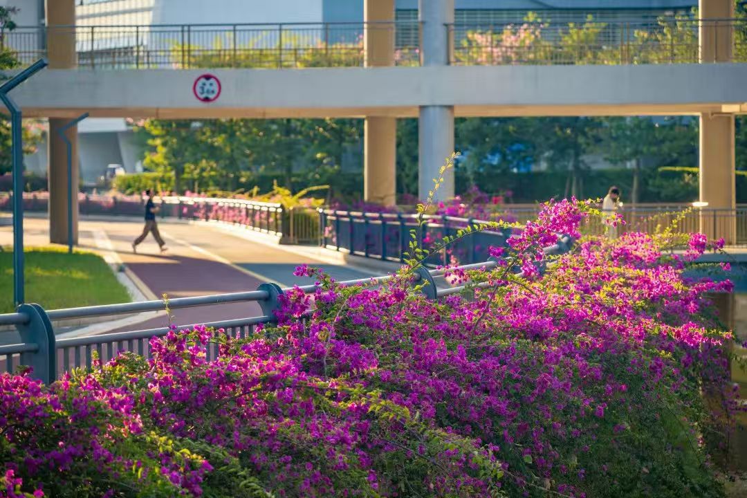 btiÌåÓý¡¤(Öйú)¹Ù·½ÍøÕ¾ - APPÏÂÔØ