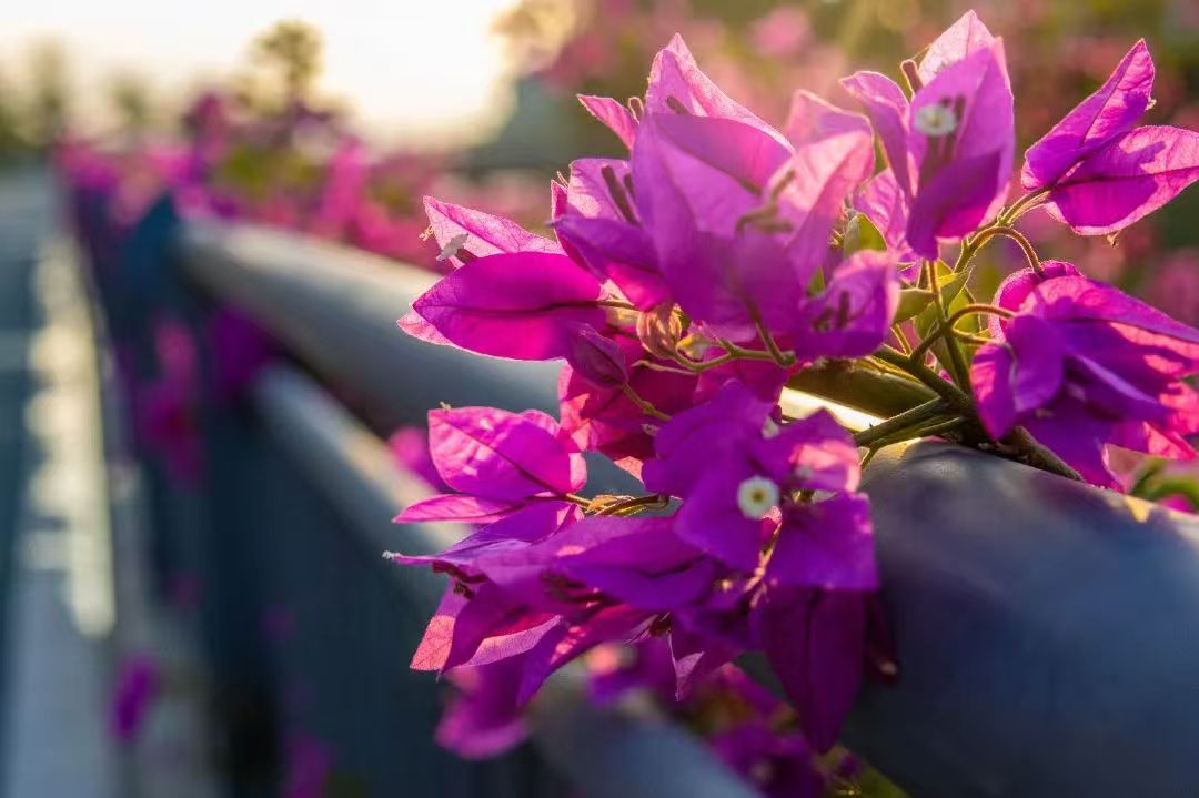 btiÌåÓý¡¤(Öйú)¹Ù·½ÍøÕ¾ - APPÏÂÔØ